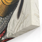 Detailed Wild Turkey Realism Art Print - Classical Realism Canvas Decor