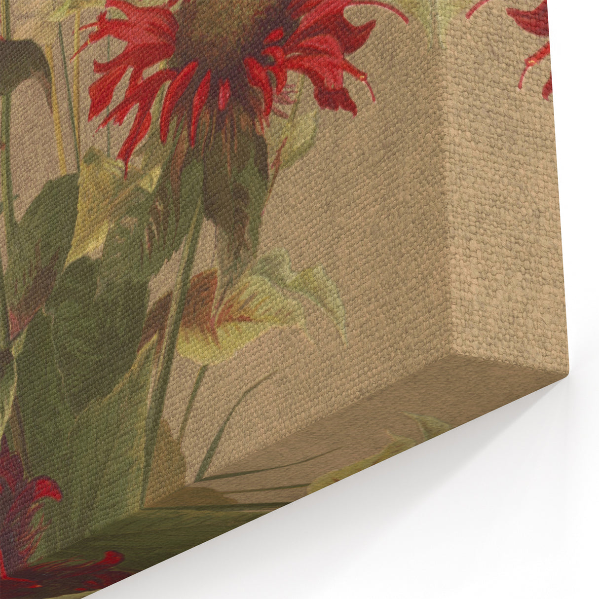 Balm and Spiraea Realism Art Print - Detailed Floral Canvas Decor