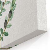 Neoclassical Creeping Willow Print - Botanical Art by Redouté