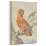Classical Realism Painting of Exotic Birds - Realism Art Canvas Print