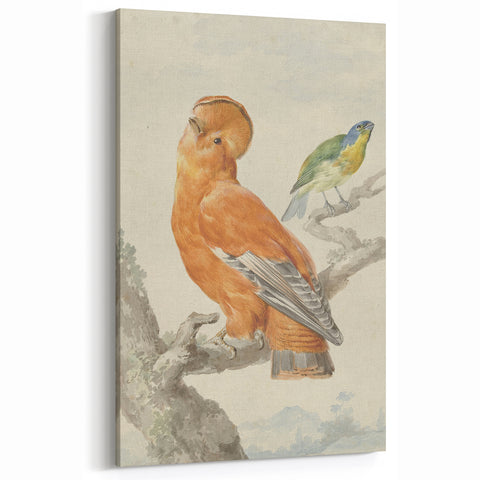 Classical Realism Painting of Exotic Birds - Realism Art Canvas Print