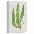 Realistic Fern Art Print - Aspidium Lonchitis by E.J. Lowe - Elegant Wall Decor