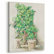Impressionist Wall Art - Geraniums in Pots - Cezanne’s Botanical Art Print