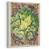 Botanical Art Print - Various Ivy Leaves by Shirley Hibberd - Classic Plant Illustration