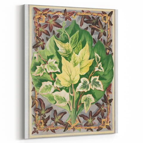 Botanical Art Print - Various Ivy Leaves by Shirley Hibberd - Classic Plant Illustration