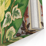 Botanical Art Print - Various Ivy Leaves by Shirley Hibberd - Classic Plant Illustration
