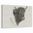 Animal Realism Art Print - Head of a Bull by Marie Rosalie Bonheur - Fine Detail Sketch