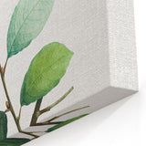 Neoclassical Art Print: Eared Willow by Redouté - Botanical Wall Art