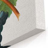 Neoclassical Art Print of Grape Vine by Redouté - Botanical Wall Art