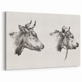 Realism Animal Study Art Print - Two Bull Heads by Jean Bernard