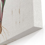Neoclassical Botanical Print: Kaempferia Longa by Redouté - Elegant Decor