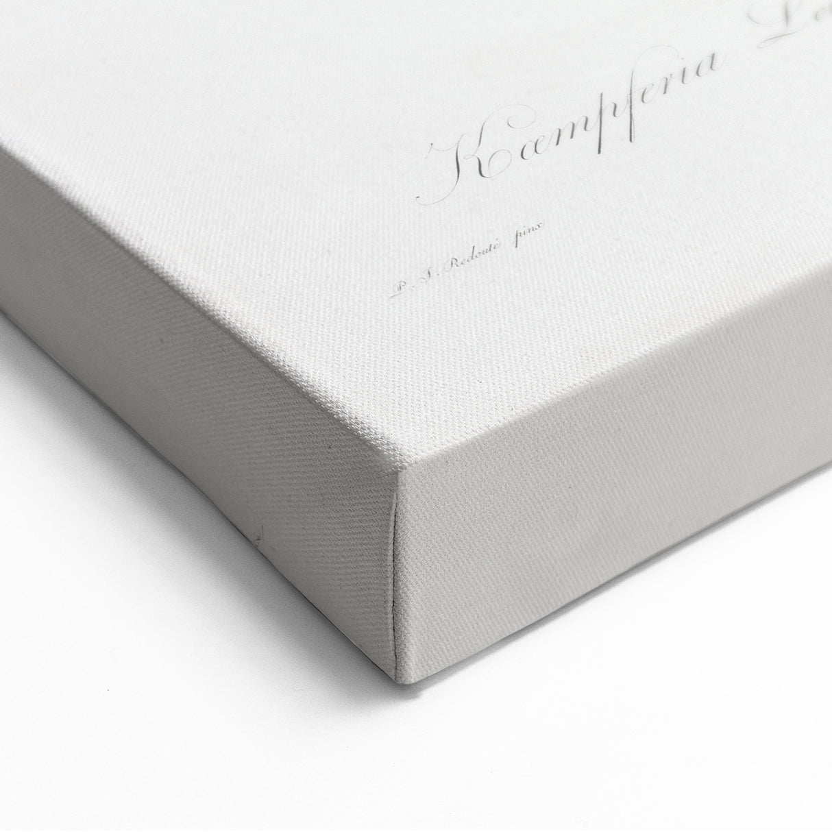 Neoclassical Botanical Print: Kaempferia Longa by Redouté - Elegant Decor