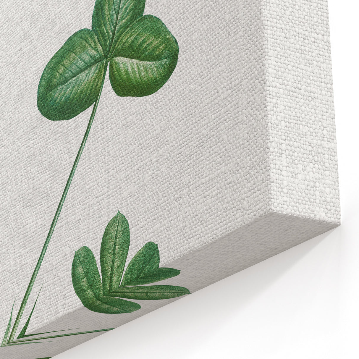 Neoclassical Botanical Art Print - Tree Leaf Set by Redouté