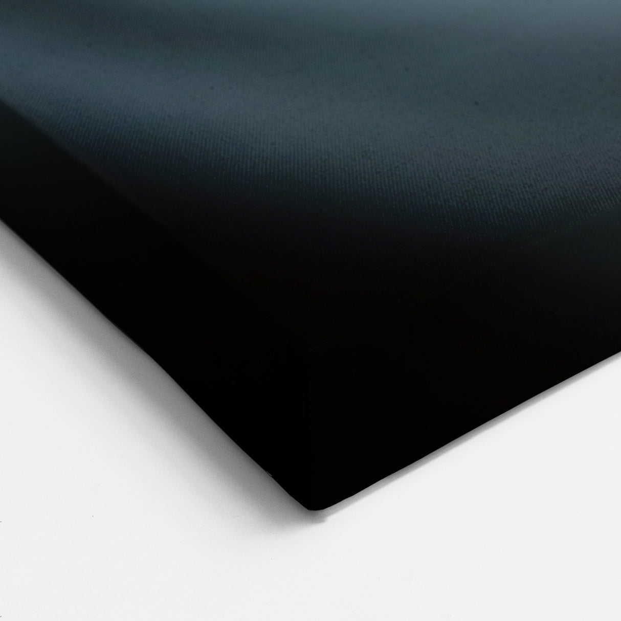 Floral Wall Art - Minimalist Calla Lily in Soft Light