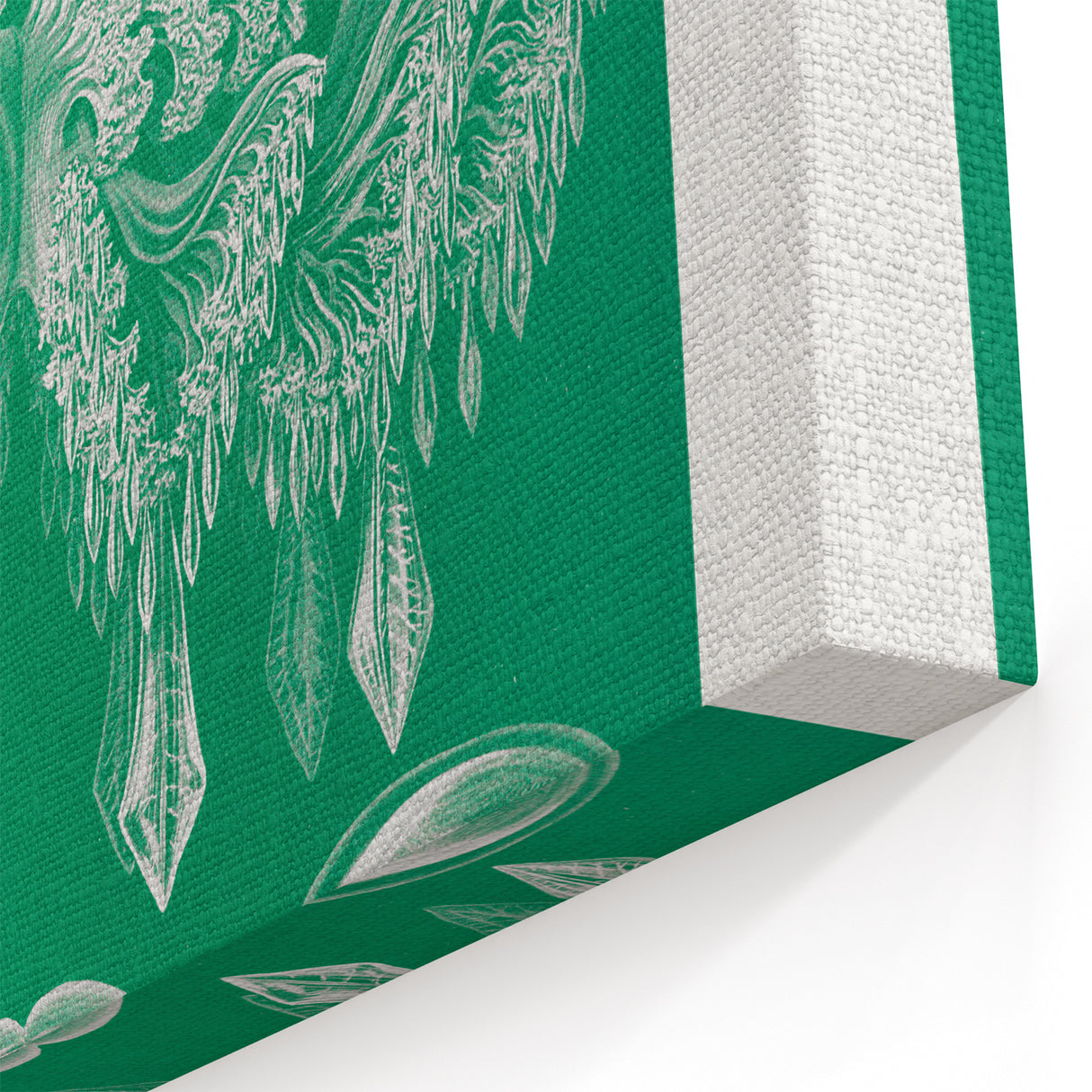 Modern Wall Art - Discomedusae by Ernst Haeckel - Intricate Marine Decor
