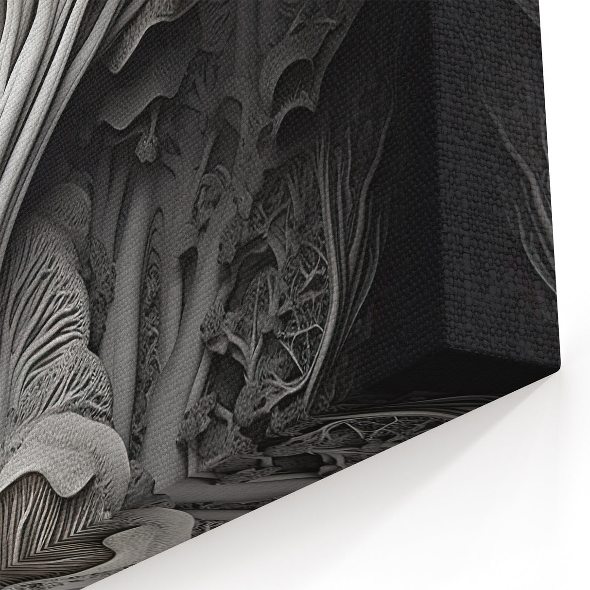 Intricate Mushroom Macro Wall Art – Organic Textures in Monochrome