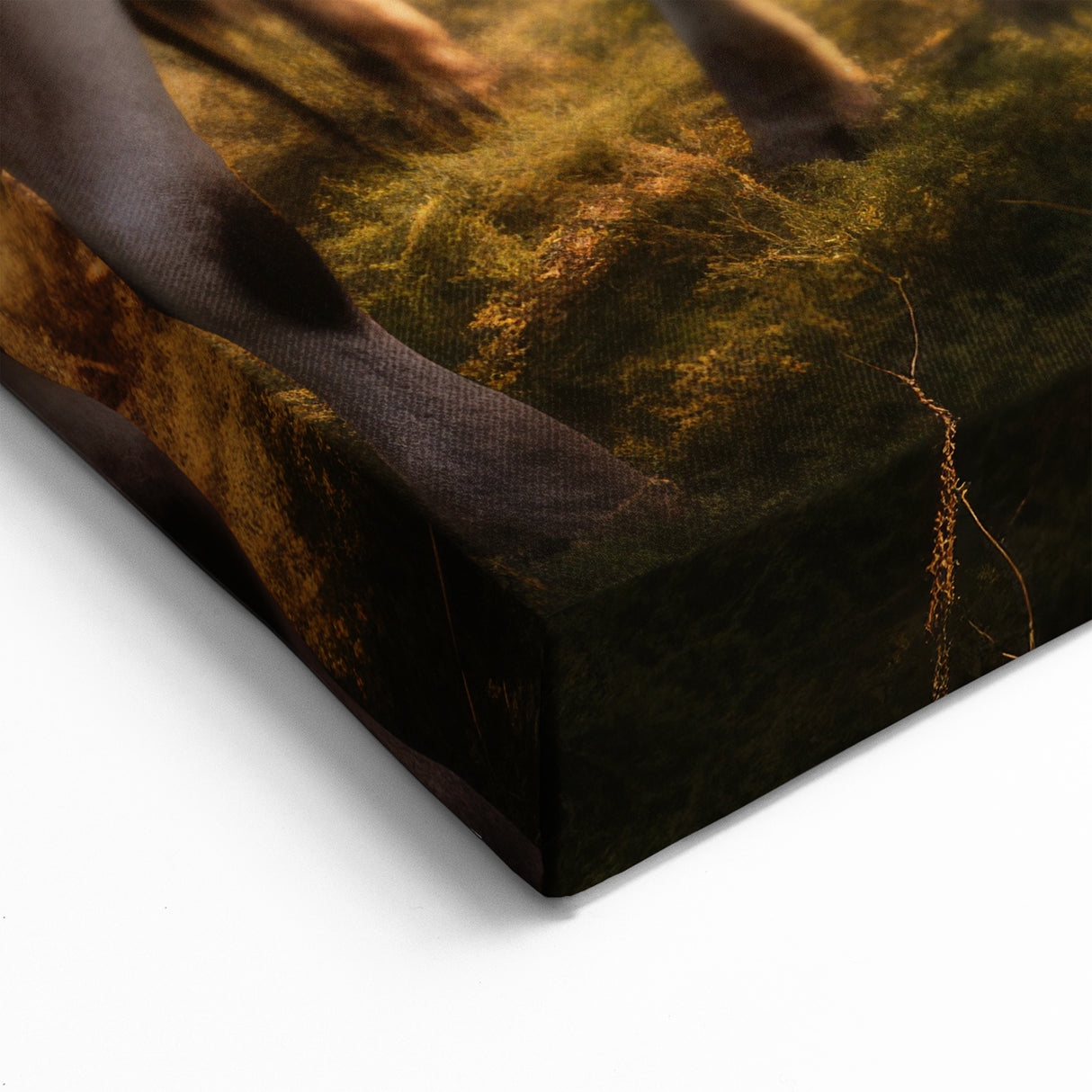 Peaceful Cows in Meadow - Wildlife Photography Wall Art Canvas Print