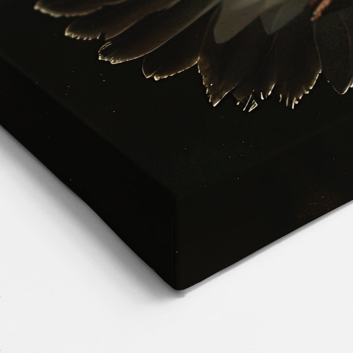 Graceful Bird in Flight - Wildlife Photography Wall Art for Home Decor
