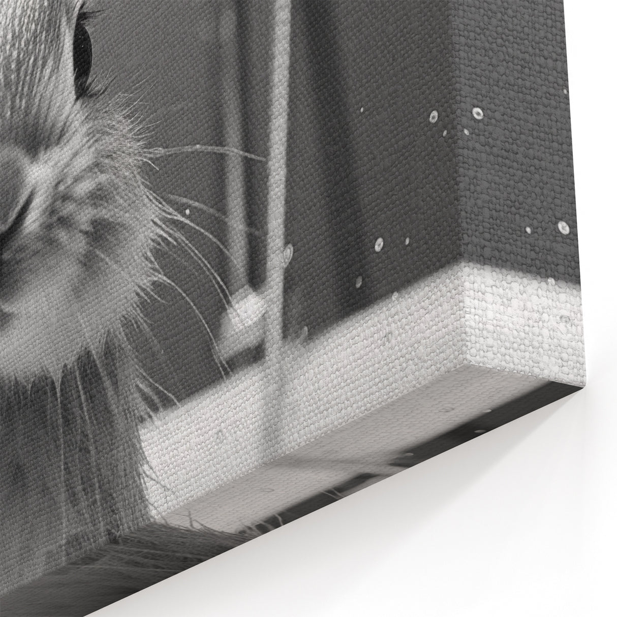 Bathroom Framed Art - Charming Bunny in Bathtub