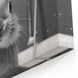 Bathroom Framed Art - Charming Bunny in Bathtub