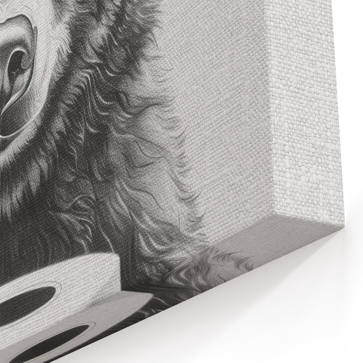 Bathroom Canvas Art - Bear Holding Toilet Paper