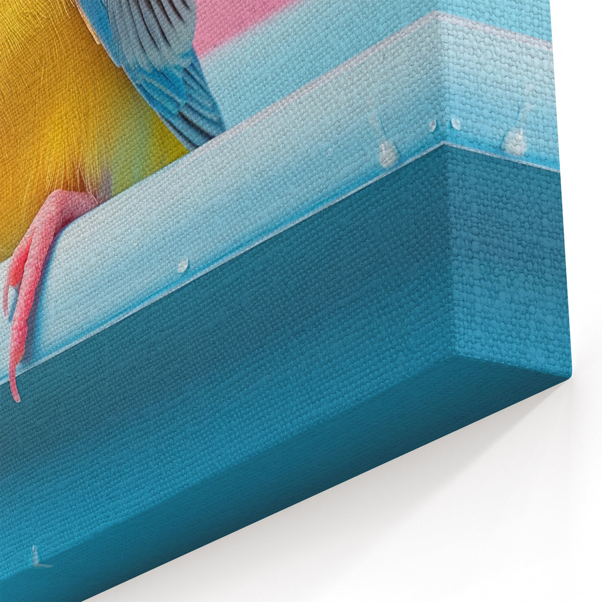Bathroom Art Prints - Colorful Bird on Blue Tub