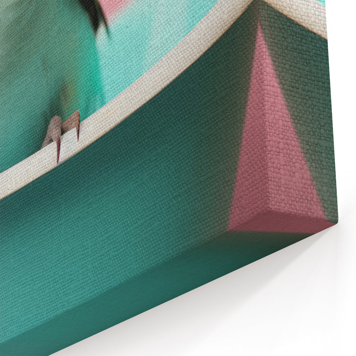 Bathroom Wall Decor - Cheerful Bird in Mini Tub