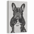 French Bulldog Bathroom Wall Art - Bold Black and White Decor