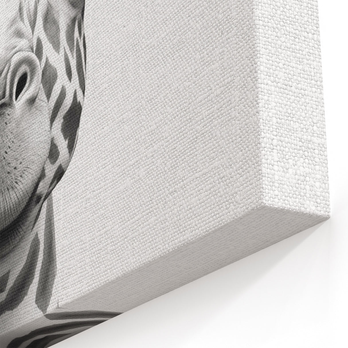 Quirky Giraffe Bathroom Wall Art - Fun Black and White Decor