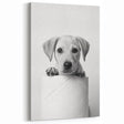 Bathroom Wall Art - Playful Puppy on Toilet Roll Modern Decor