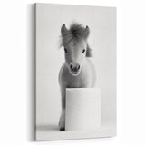 Adorable Pony Bathroom Wall Art - Modern Black and White Decor