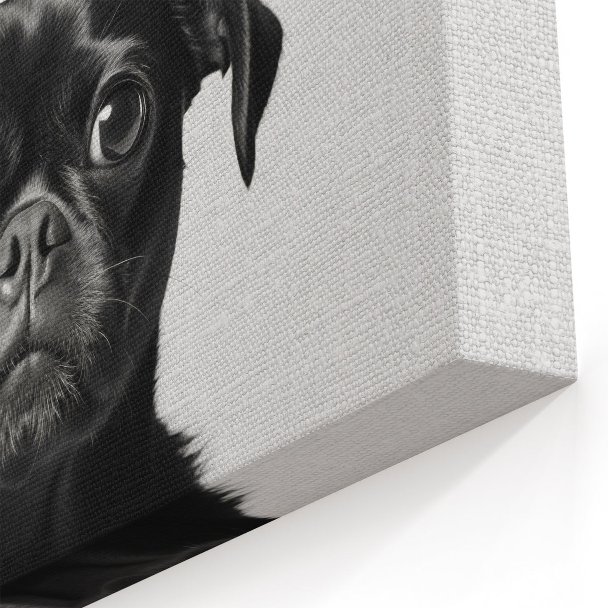 Black Pug Bathroom Wall Art - Modern Black and White Bathroom Decor