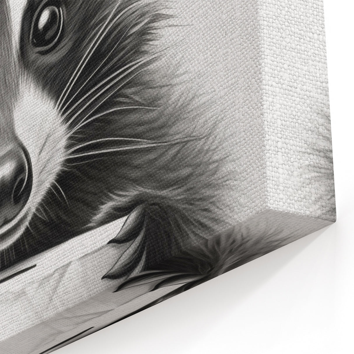 Raccoon Bathroom Wall Art - Modern Black and White Bathroom Decor