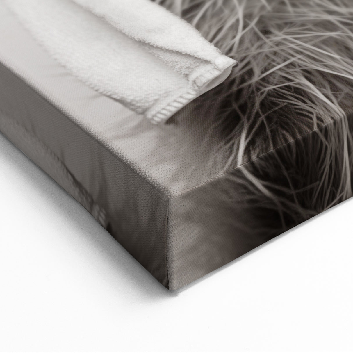 Towel-Wrapped Raccoon Bathroom Wall Art - Black and White Decor