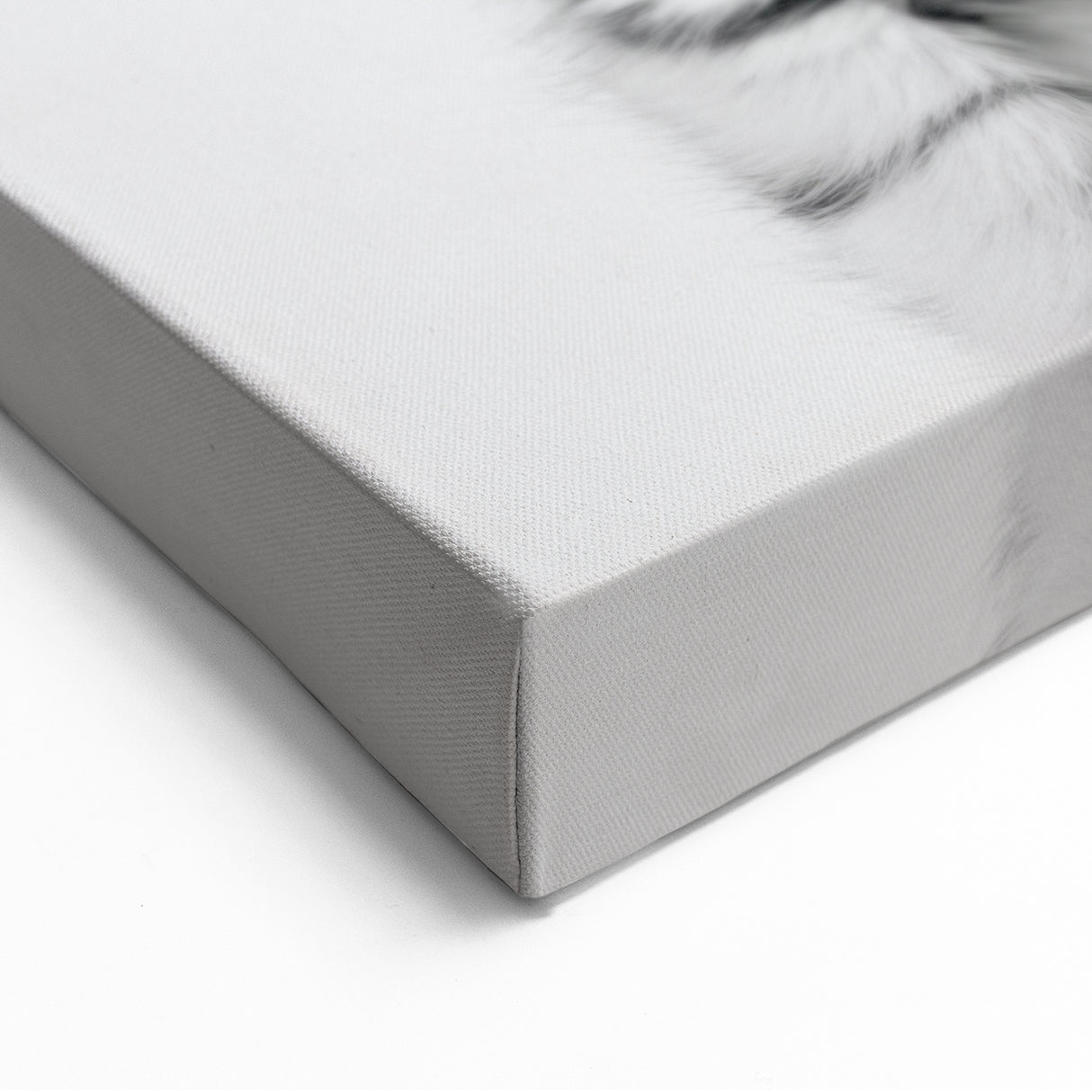 Adorable Tiger Cub Bathroom Wall Art - Fun Black and White Decor