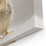 Adorable Baby Chick Wall Art - Perfect for Kids Room Decor