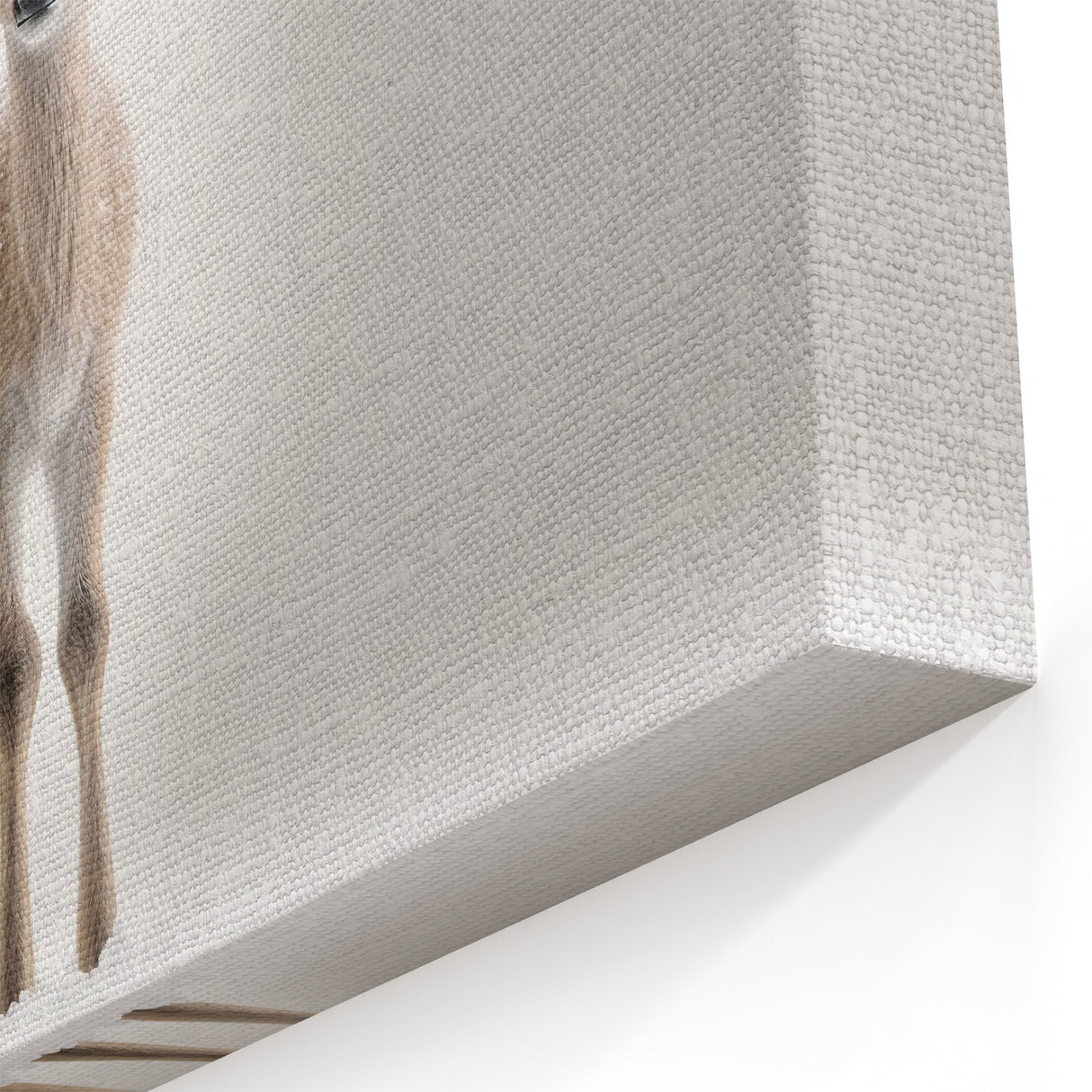 Adorable Baby Deer Wall Art - Perfect for Kids Room Decor