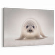 Adorable Baby Seal Wall Art - Perfect for Kids Room Decor
