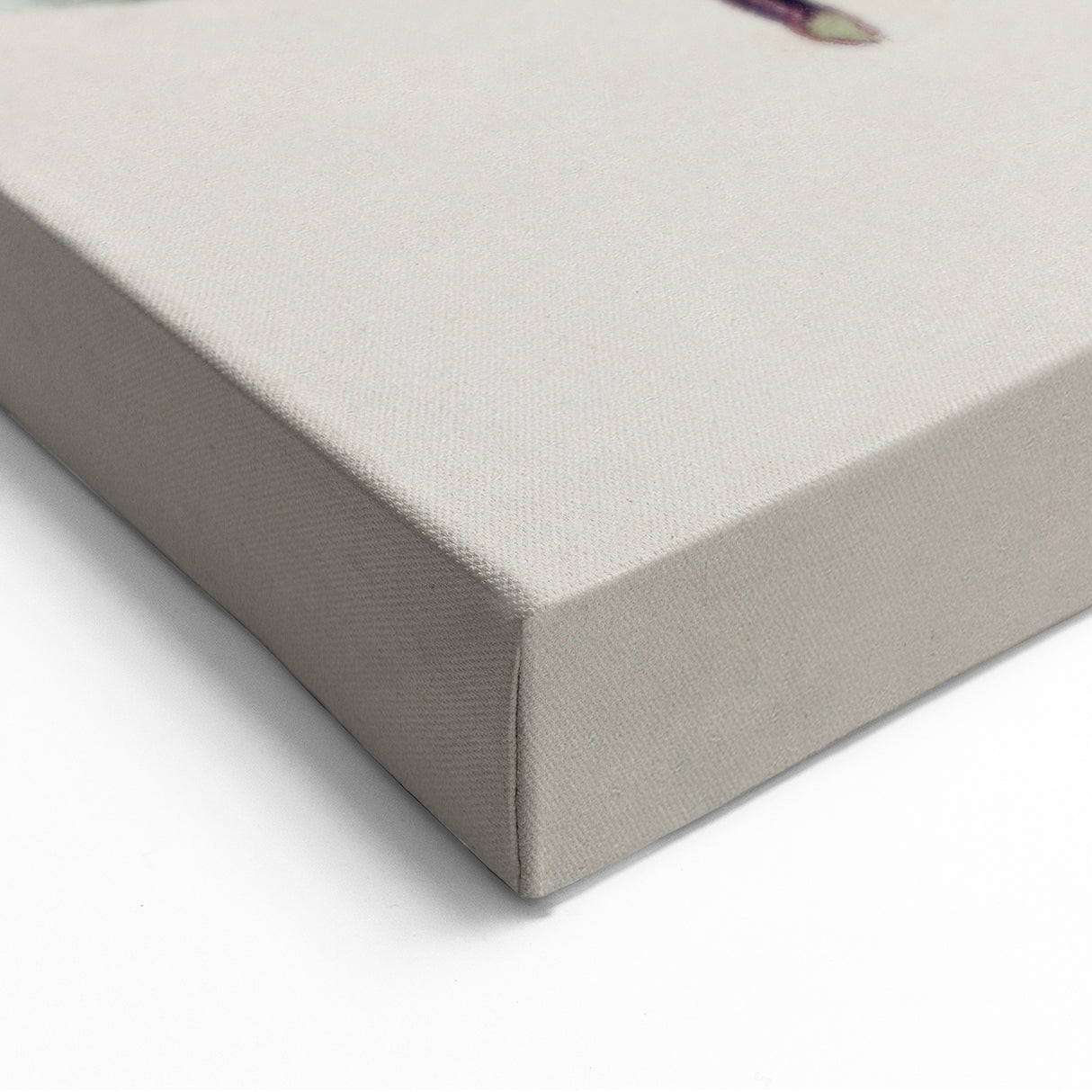 Fine Art Realism: Antique Botanical Floral Illustration Wall Art Canvas