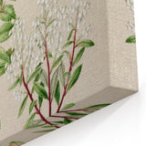 Fine Art Realism: Antique Botanical Illustration of Gaultheria Wall Art