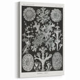 Modern Wall Art - Intricate Black-and-White Botanical Lichen Design