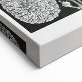 Modern Wall Art - Intricate Black-and-White Botanical Lichen Design