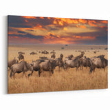 Wildebeest Migration Wildlife Photography - Animal Wall Art Prints