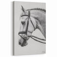 Detailed Horse Portrait Illustration - Animal Canvas Wall Art