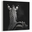 Zebra in Black and White - Wildlife Photography Wall Art