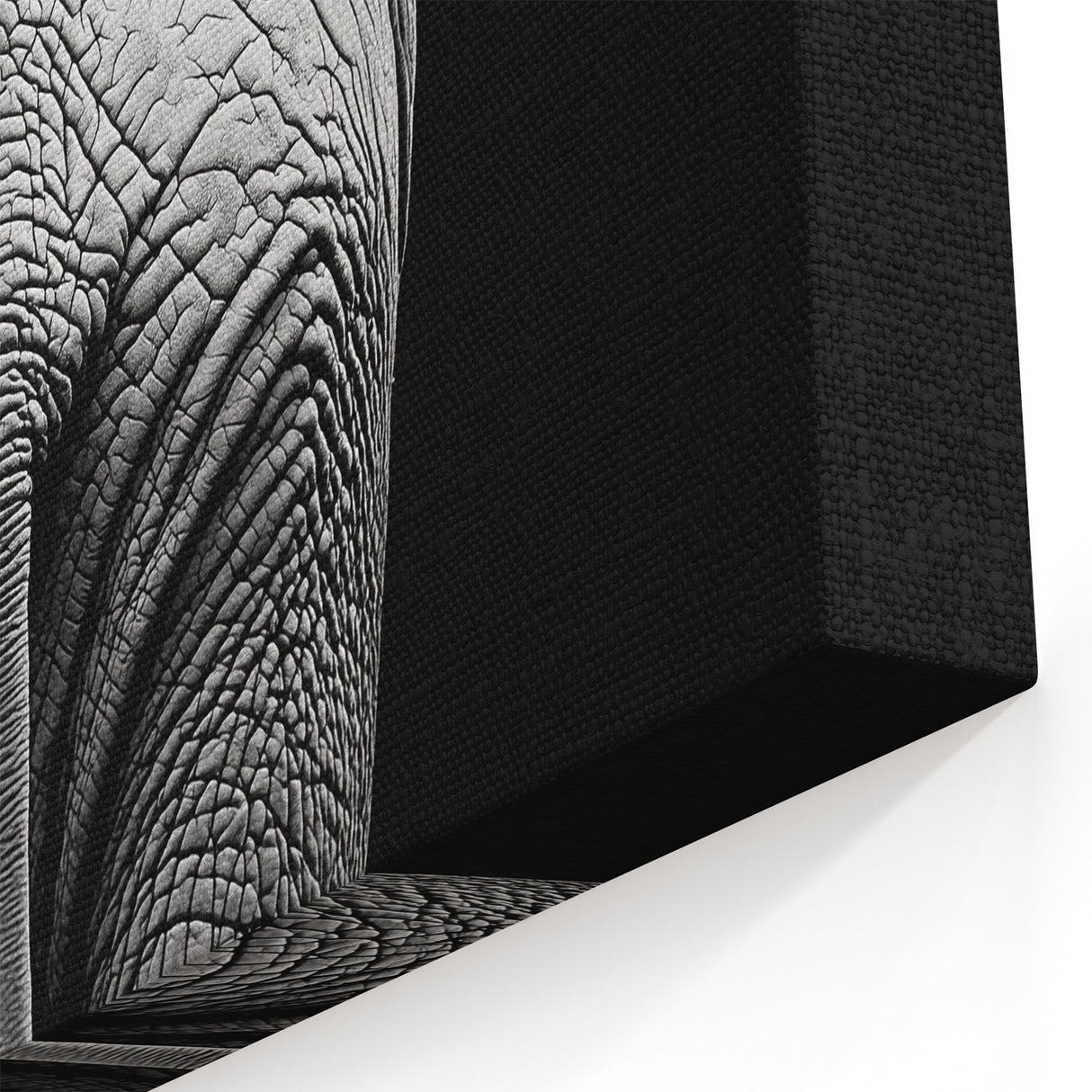 Elephant in Black and White - Wildlife Photography Wall Art