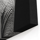 Elephant in Black and White - Wildlife Photography Wall Art