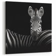Zebra Portrait in Black and White - Wildlife Photography Wall Art