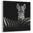 Zebra Portrait in Black and White - Wildlife Photography Wall Art