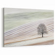 Artistic Landscape Designs - Minimalist Tree in Winter Fields